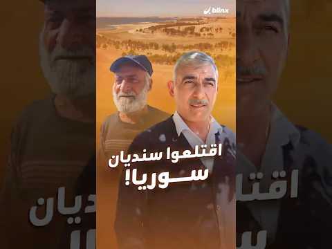 تقارير تكشف إسرائيل تسرق أشجار السنديان من سوريا وتخوفات من أهداف خفية من التاريخ والجغرافيا