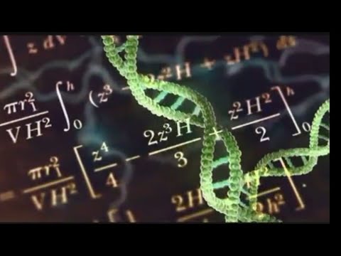 The Stories of Biological Mathematics - Why a Biologist must learn Mathematics