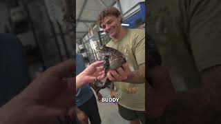 He Saved Giant Bullfrog From Food Market!!