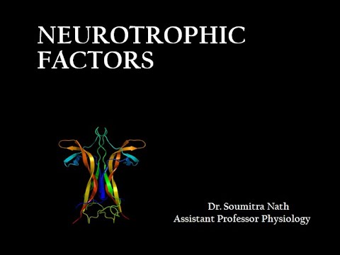 NEUROTROPHIC FACTORS