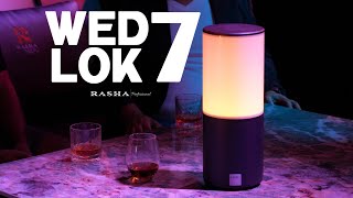 Wedlok 7 | Elegance in Light