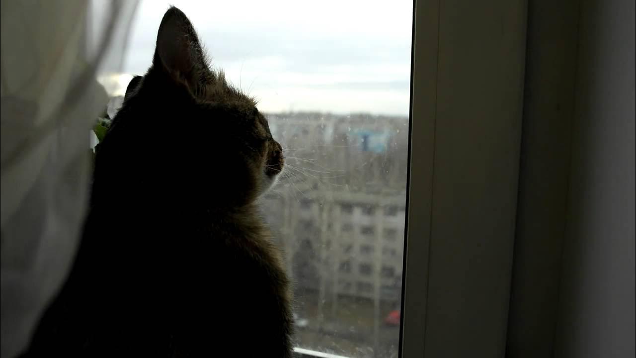 Печальные видео. Видео грустный нейропрок. Грустные видео для монтажа. Грустные песни для видео в ютуб. Грустная мелодия для видео.