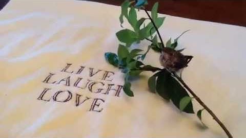 SWEETEST BABY HUMMINGBIRD VIDEO EVER!  Little Zahrah before she leaves for the rehabber!