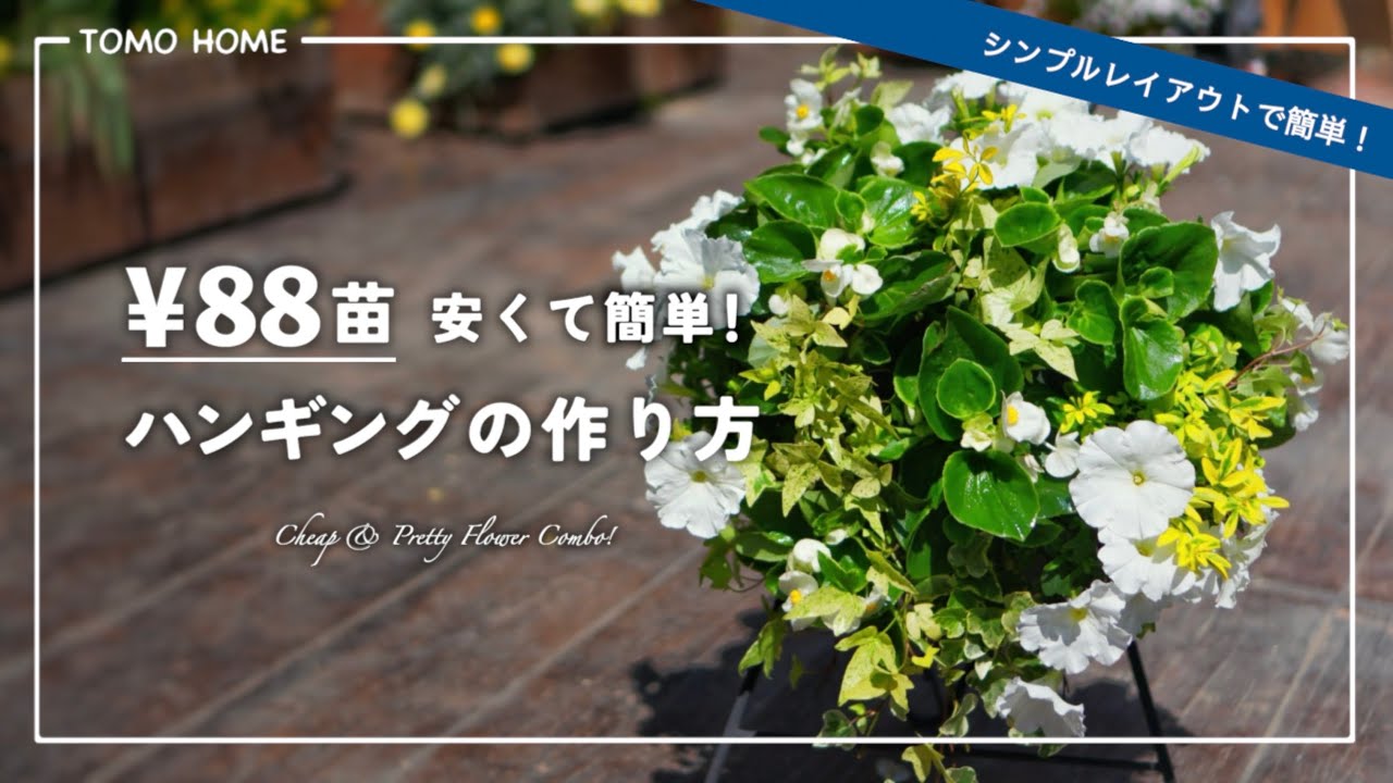 安い花でも映える！暑さに強いベゴニアのハンギング寄せ植え