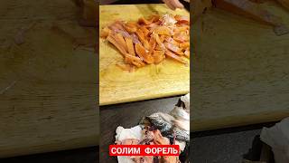 Солим форель