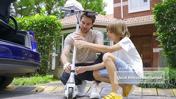 Segway-Ninebot eKickScooter C Series | C10