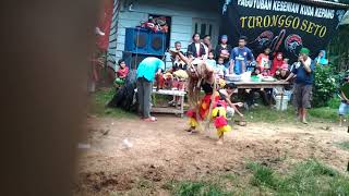 jaranan Turonggo Seto Lubuklinggau(1)