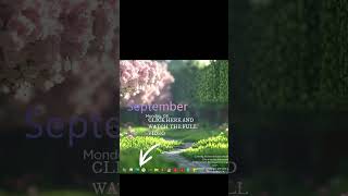 How to Set Transparent Taskbar & Cool Widgets in Windows 11 #windows11 #TransparentTaskbar #desktop