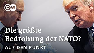 Trump und Putin: Zwei gegen NATO und Ukraine? | Auf den Punkt