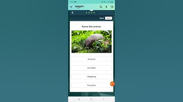 #AmazonQuiz #QuizTime Amazon Daily Quiz Answer & Win Skybags Luggage Set | Gulf Tech | #HIGH