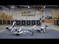 Humanoid Robot Oli S New Update In Action