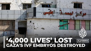 Thousands of IVF embryos destroyed in Israeli attack on Gaza’s largest fertility centre