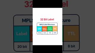 MPLS Label