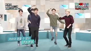 EXO Funny Moments😂