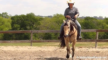 Justa Dry Lady      ***For info, price, etc., go to our website*** Valley View Ranch