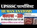 #upssscpharmacist UPSSSC PHARMACIST मुख्य परीक्षा क्लास 28 human anatomy questions #pharmacist 