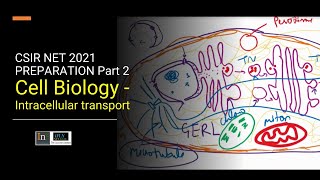 CSIR NET 2021 PREPARATION  Part 2 : Cell Biology - intracellular transport