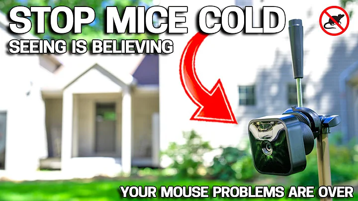 EASY WAY to Get Rid of Mice in Your House FOREVER - No More Mousetraps! - DayDayNews