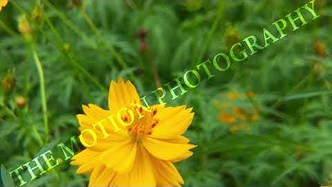 High-Quality AI  & ML Datasets for Computer Vision  Video Training #datasets #ai #ml #MLlearning #AI