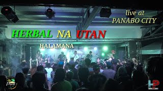 HALAMANA  Herbal na utan (live at Panabo City)