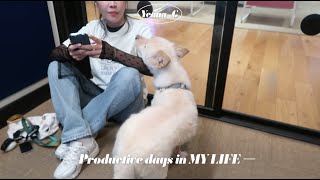 예나지 | Vlog | 일 브이로그 | productive days in my life