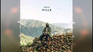 Protoje - HILLS [In.Digg.Nation Collective] 2022