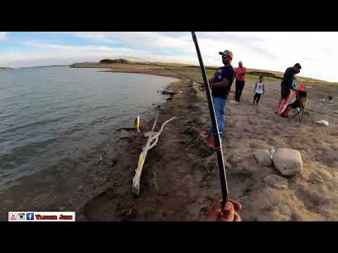 Video: Lake newell nyob qhov twg?