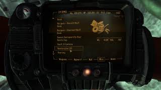 : Fallout New Vegas - livestream #10