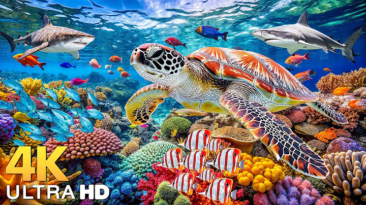 Amazing 4K Ocean Adventure 🐳 Dive Deep and Marvel at Sea Animal in The Best 4K ULTRA HD Aquarium #35