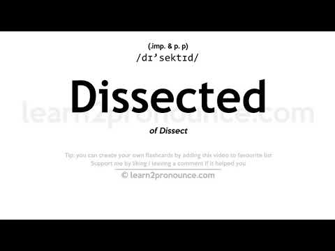 Pronunciation of Dissected | Definition of Dissected