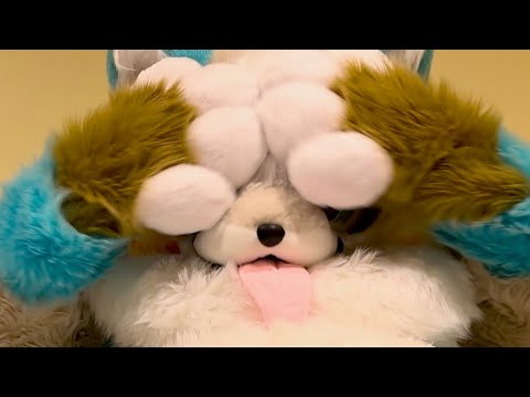 【ケモノ着ぐるみ】まかろにくん何をしてるんだろう？