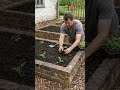 Grow fresh food right next to your house #garden #gardendesign #growyourownfood