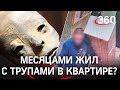 Мумии пожилой пары нашли в Одинцове. Родителей мог убить сын с женой из-за квартирного вопроса