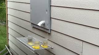Details Indoor Beehive (on purpose) News