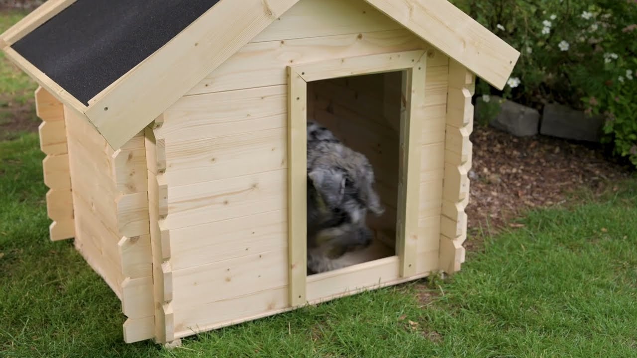 Classifica 10 Igliori Giochi Resistenti Per Cani Da Scegliere E Acquistare - Foto 9