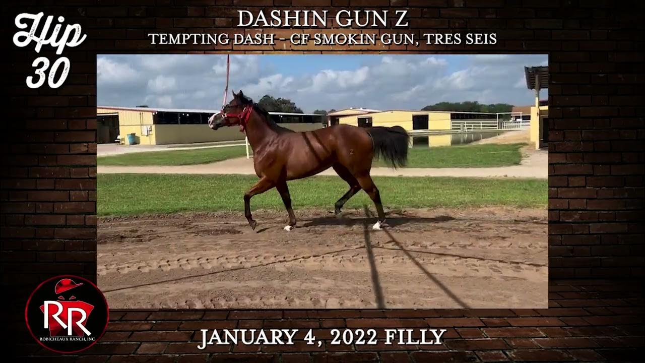 Ruidoso Select Yearling Hip 30 YouTube