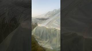 Негода Народила Проблем.