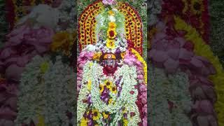 Joy Maa Tara #joybabamoni #joymatara #tarapith