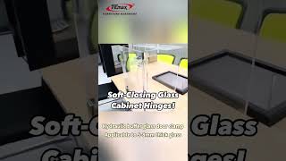 Celebrity ✨ Transform Your Space with TEMAX Soft Closing Glass Cabinet Hinges! ✨ Profile