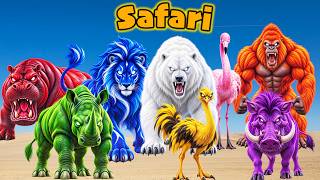 Halloween Safari Colors & Sounds Song 🐯 Rhymes for Toddlers 🐾 LittleKidsTV