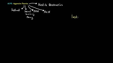 A2 PE - Aggression Theories Short