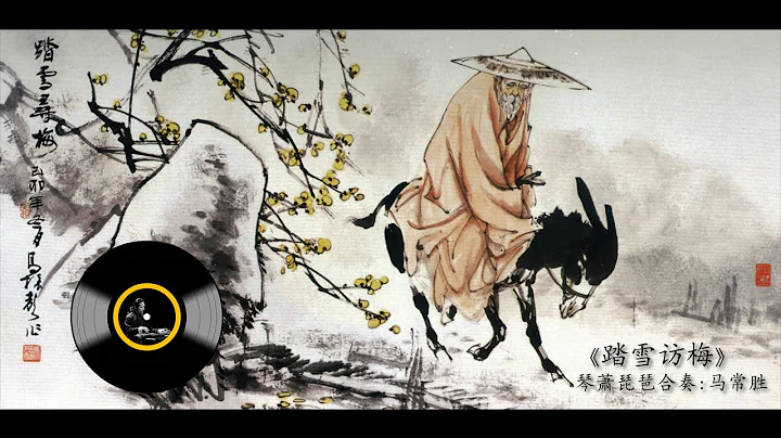 琴、箫、琵琶合奏《踏雪访梅》：马常胜 / Chinese Traditional Music: Guqin - 天天要闻