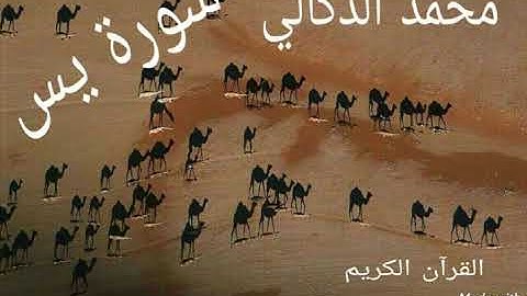 سورة يس   محمد الدكالي  برواية قالون