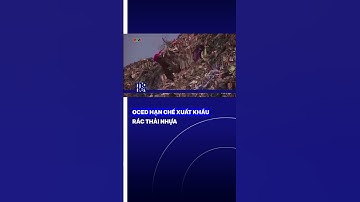 OCED hạn chế xuất khẩu rác thải nhựa | VTVMoney