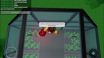 I got 8 meteorites in one rain in raise a floppa!?