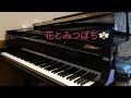 🌷道子ピアノチャンネル🌷郷ひろみ「花とみつばち」