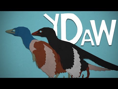Archaeopteryx: Your Dinosaurs
