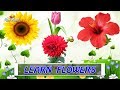 Flower names for Kids in english - Kids educational videos | Learn flower names for toddlers, babies