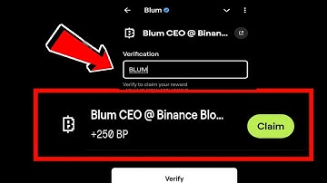 BLUM CEO @ BINANCE BLOCKCHAIN BLUM VIDEO CODE | BLUM CEO @ BINANCE BLUM  VERIFICATION KEYWORD
