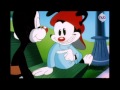 Animaniacs promo  hub network